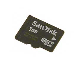 1GB Micro SD Card